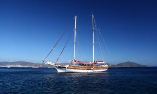 Perrinita | Perrinita | Bodrum, Milta Marina