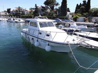 Damor 800 Zadar