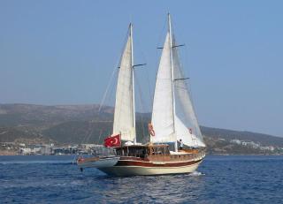 Remo | Remo | Bodrum, Milta Marina