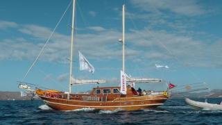 Neptun | Neptun | Bodrum, Milta Marina