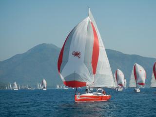 Salona 41 | Wild Bee | Marmaris Adakoy Marina